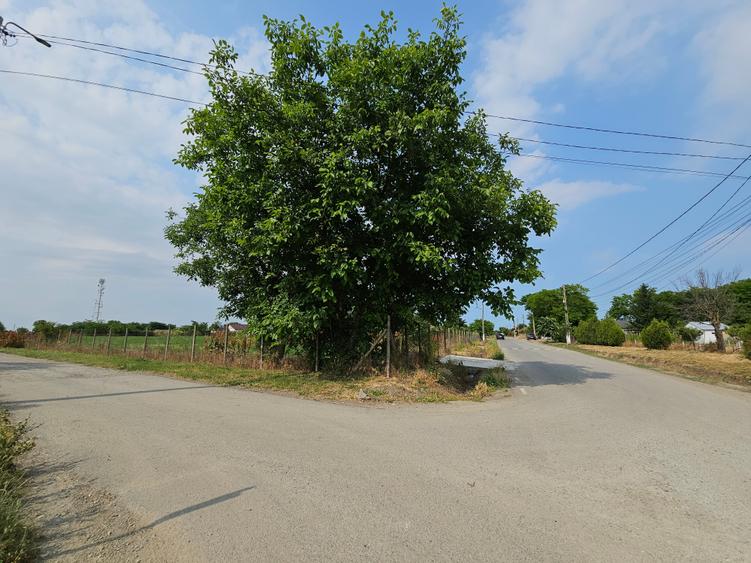 Teren Construcții intravilan de 5465 mp, în Topraisar