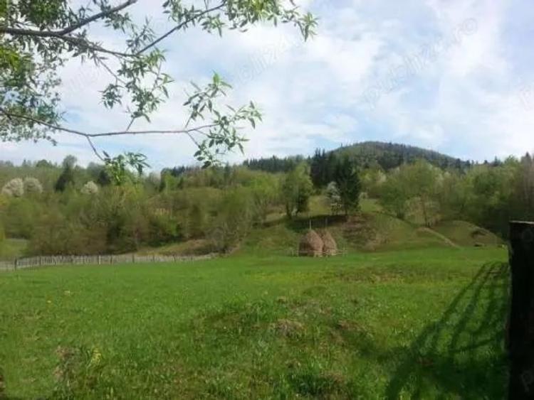 Teren de 21784 mp, în Vama