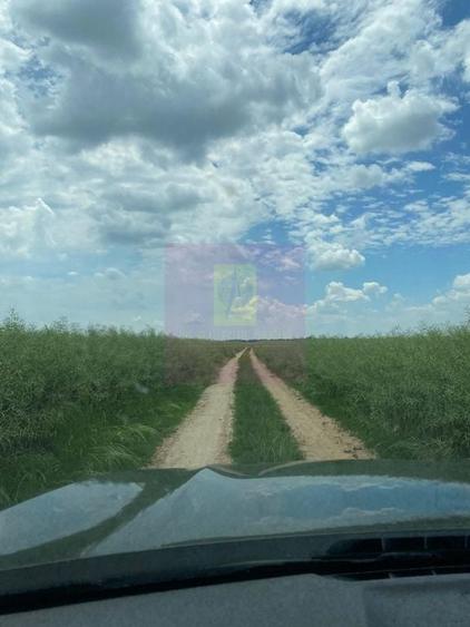 Teren de 94000 mp, în Albota