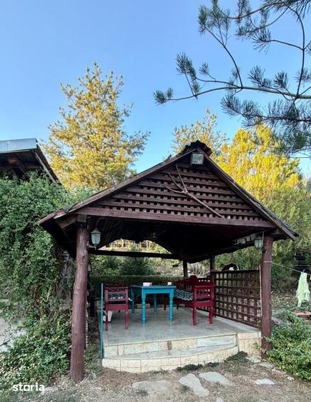 Casă cu 4 camere cu Teren 1620 Mp în Sârbi