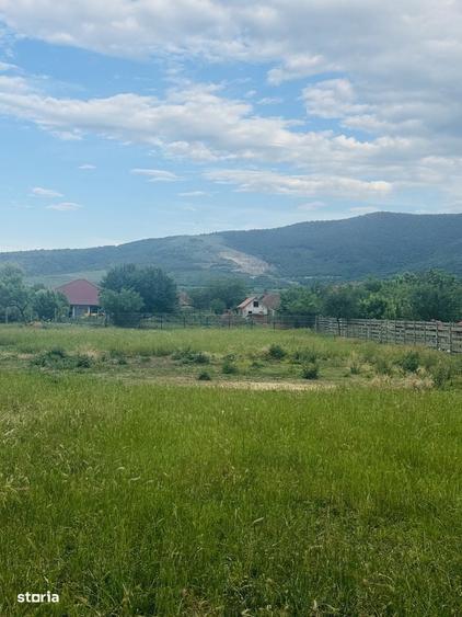 Casă cu 3 camere în Central