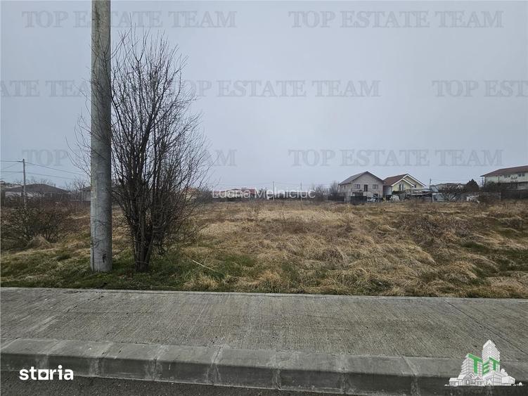 TEREN INTRAVILAN 1000 MP COSTINESTI