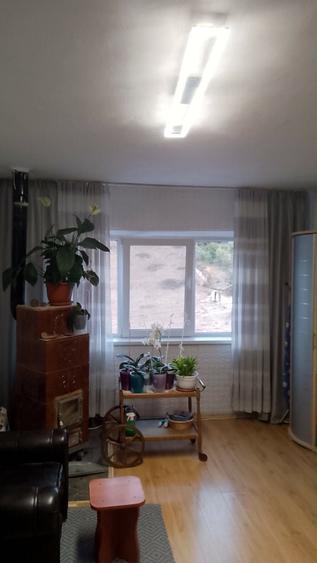 Apartament cu 2 camere semidecomandat în Mehadia