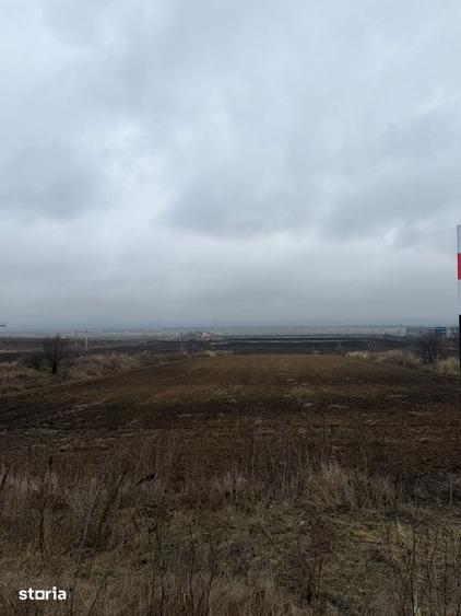 Teren de 12500 mp, în Nicolae Bălcescu