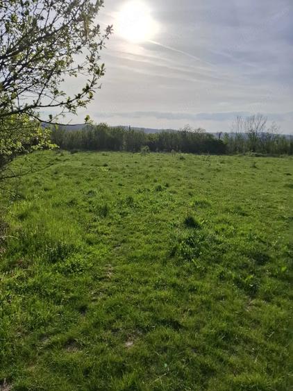 Teren de 2350 mp, în Sacoșu Mare