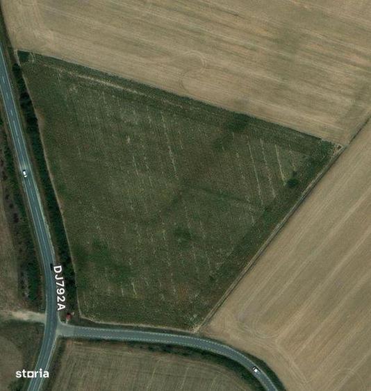 Teren de 11500 mp, în Nojorid