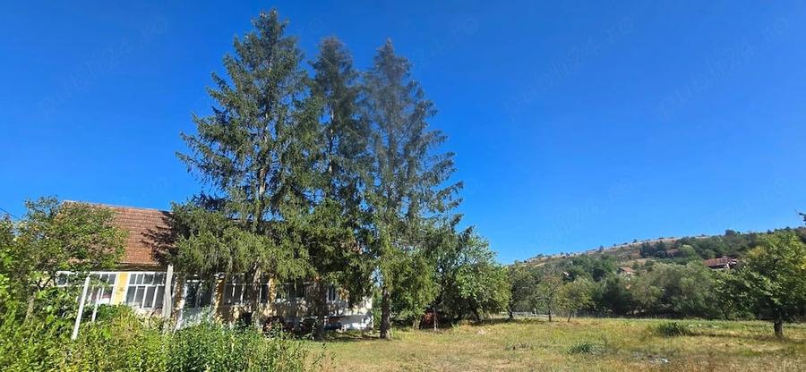 Casă cu Teren 2300 Mp în Buzad