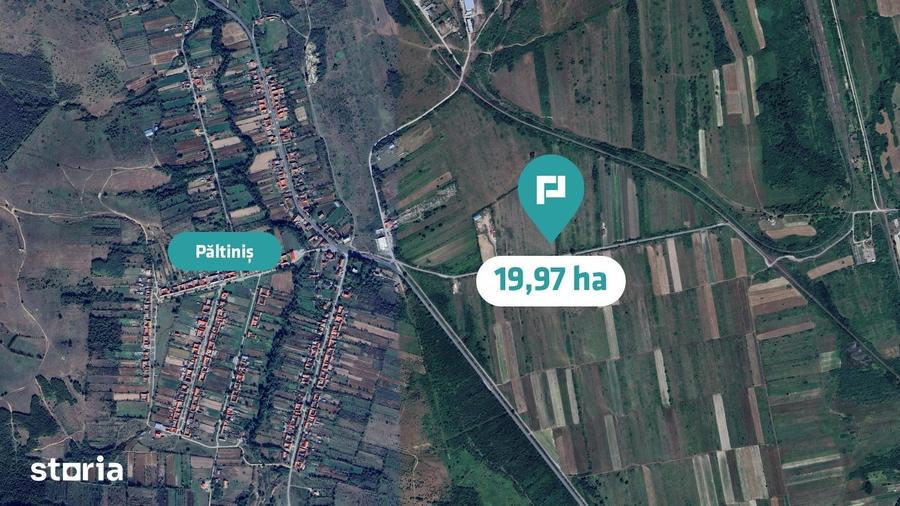 Teren extravilan agricol de 20 ha langa Caransebes - 1