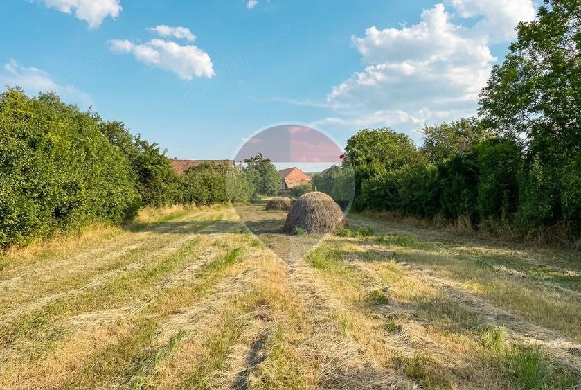 Casă cu 2 camere cu Teren 3618 Mp în Moldovenești