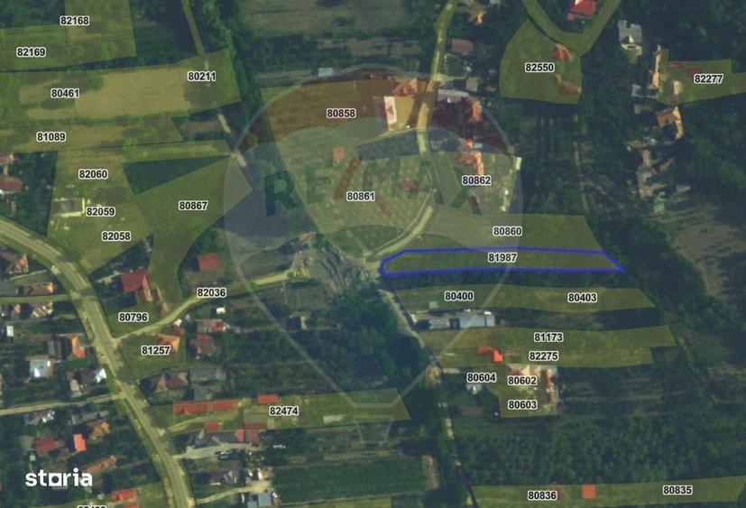 Teren 1.736mp Chitesti-AG, Ideal Casa, Deschidere la Asfalt, Utilitati - 2