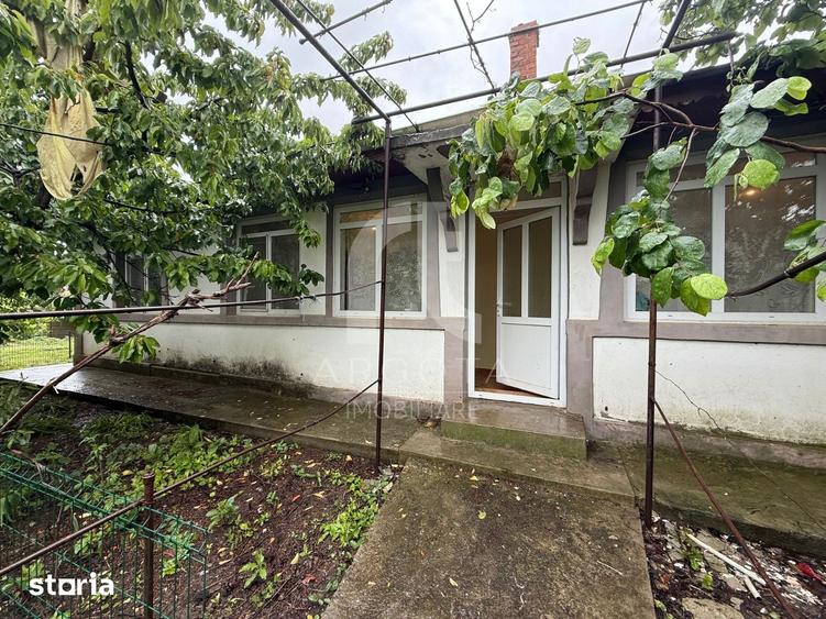 Casă cu 4 camere cu Teren 4075 Mp în Cotu Ciorii