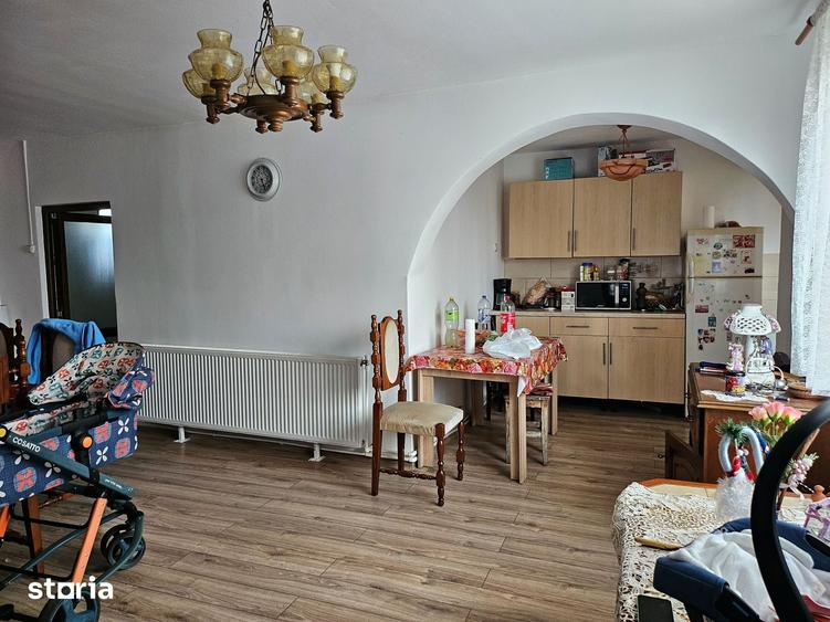 Casa cu 1566 mp teren in sat Mandruloc, com. Vladimirescu, jud. Arad - 13