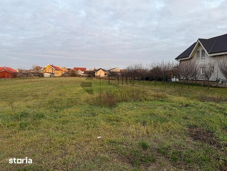 Teren intravilan 1150 mp de vanzare in Cihei - 10