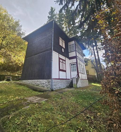 Spațiu comercial, de 350 mp, în Sighișoara