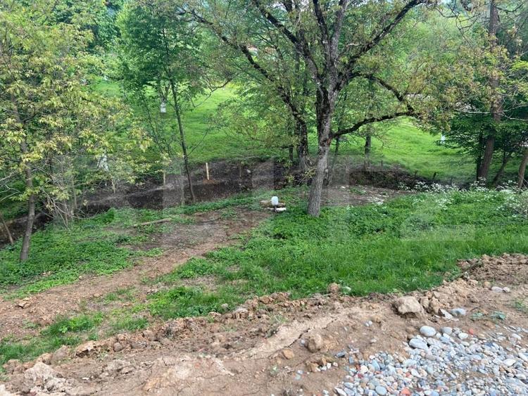 Teren Construcții intravilan de 5800 mp, în Hărțăgani