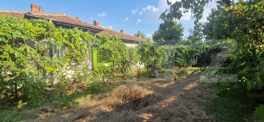 Casă cu 3 camere cu Teren 444 Mp în Central