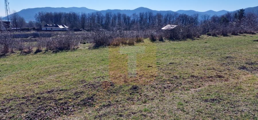 Teren Construcții intravilan de 4000 mp, în Alexandru cel Bun