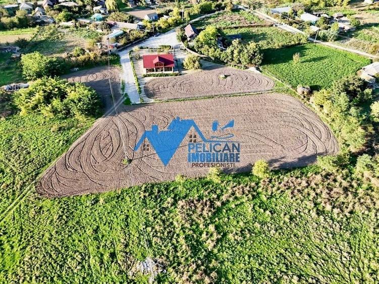 Teren de 6000 mp, în Sarinasuf