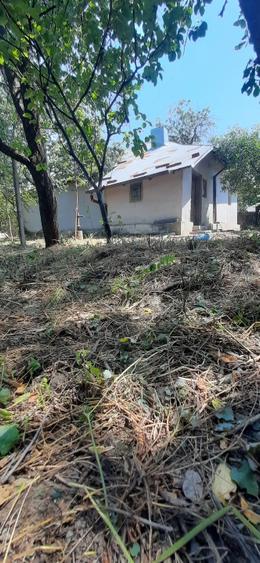 Casă individuală cu 4 camere cu Teren 2640 Mp în Meri