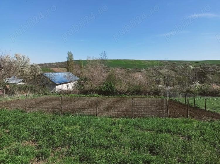 Teren de 518 mp, în Hoisești