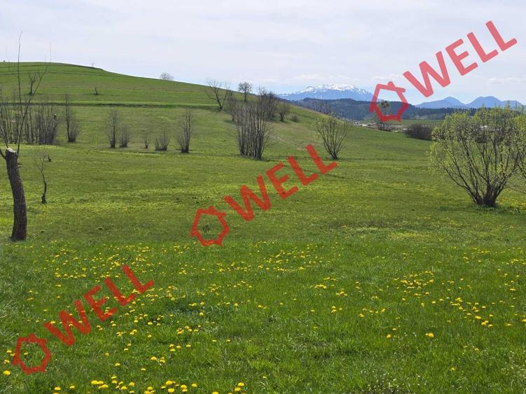 Teren agricol extravilan de 6519 mp, în Sărămaș