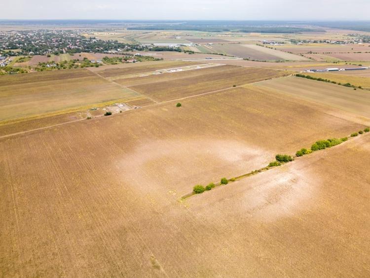 Teren Construcții intravilan de 11332 mp, în Dascălu