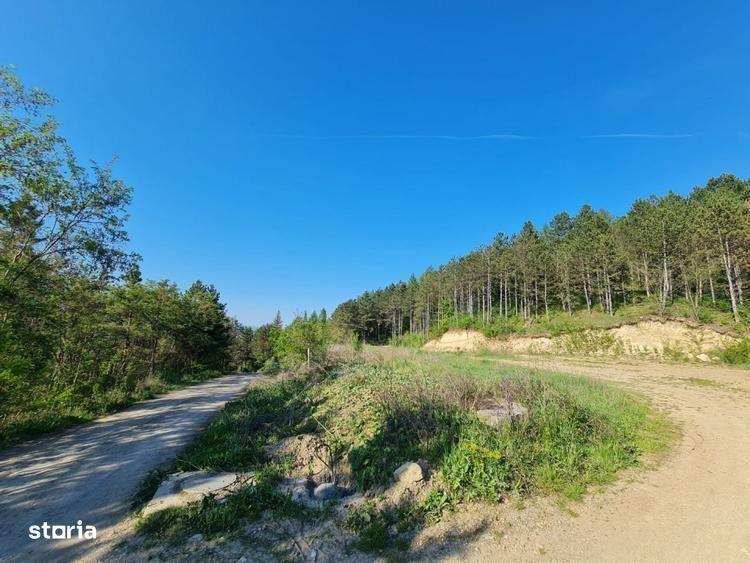 Teren de 1100 mp, în Făget