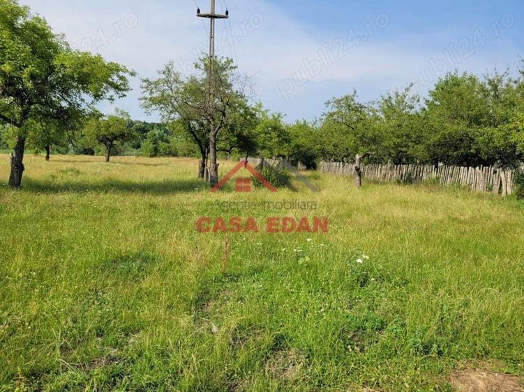 Casă cu Teren 1490 Mp în Voila