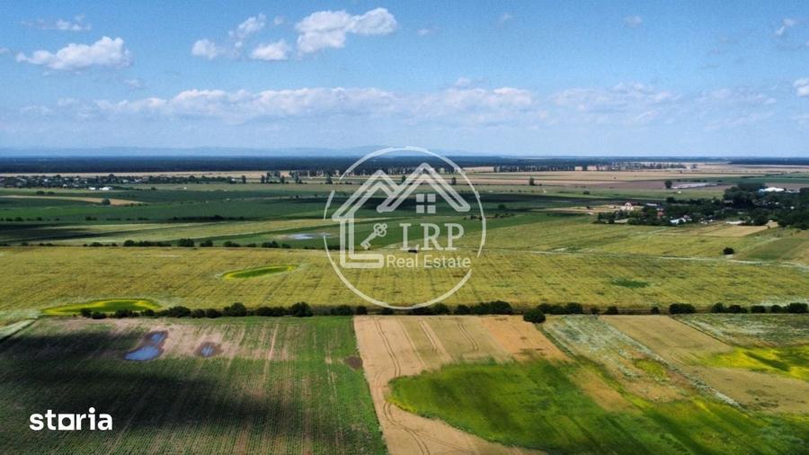 Teren de 20000 mp, în Dascălu