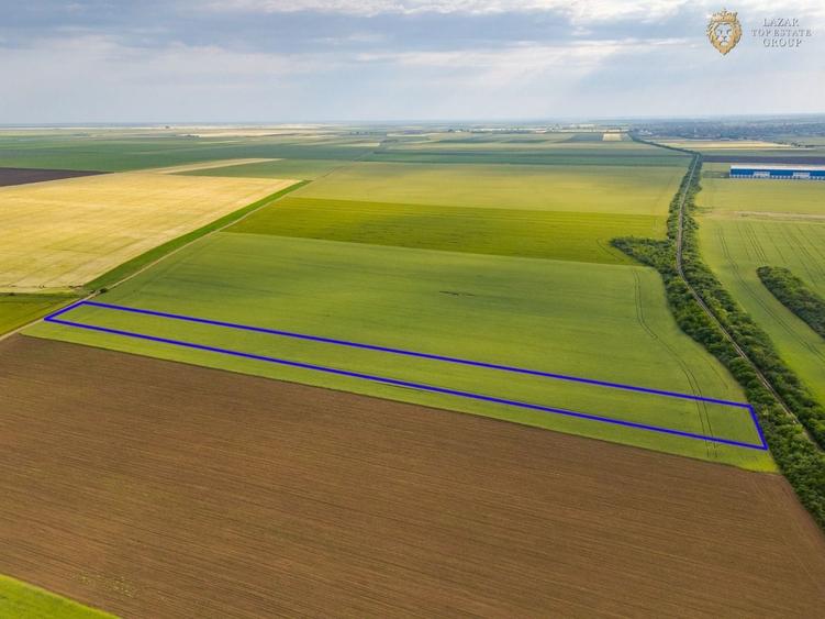 Teren agricol extravilan de 44900 mp, în Aradul Nou