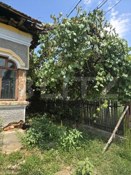 Teren Construcții intravilan de 1598 mp, în Cobia