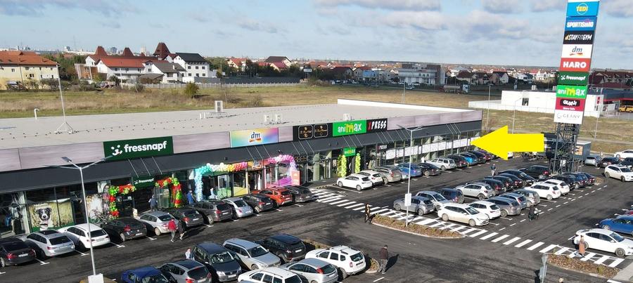Spațiu comercial, de 186.7200012207 mp, în Moșnița Nouă
