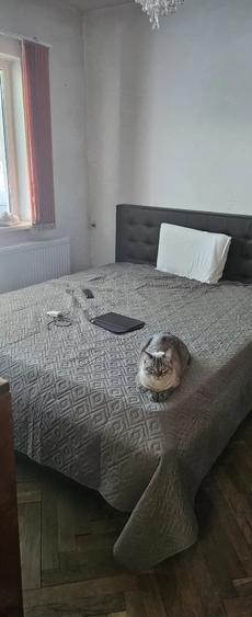 Apartament cu 3 camere decomandat în Casa de Cultură