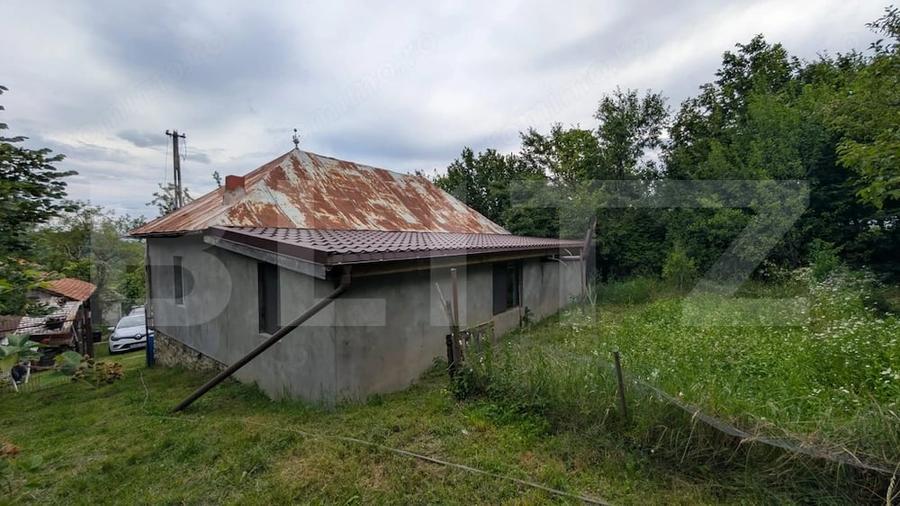 Casă cu Teren 3266 Mp în Malu cu Flori