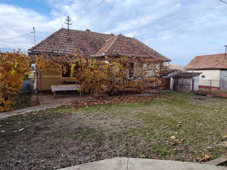 Casă cu 2 camere cu Teren 1300 Mp în Central