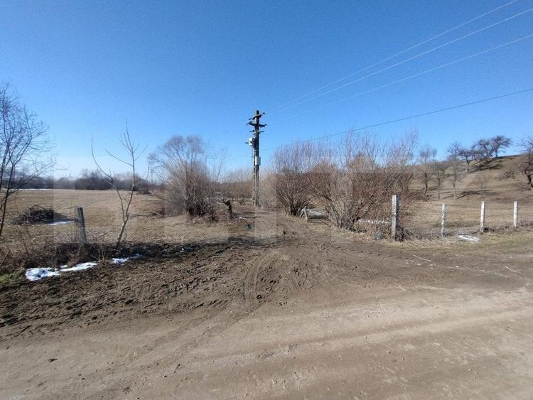 Teren Construcții extravilan de 2500 mp, în Nord-Est