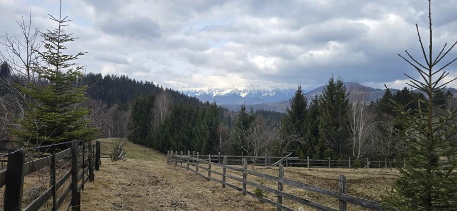Teren Construcții intravilan de 3040 mp, în Bran