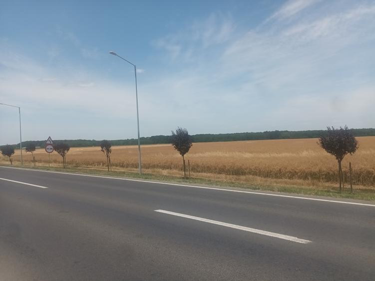 Teren Construcții intravilan de 21500 mp, în Brănești