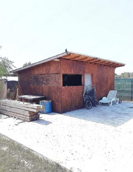 Teren de 2000 mp, în Curtișoara