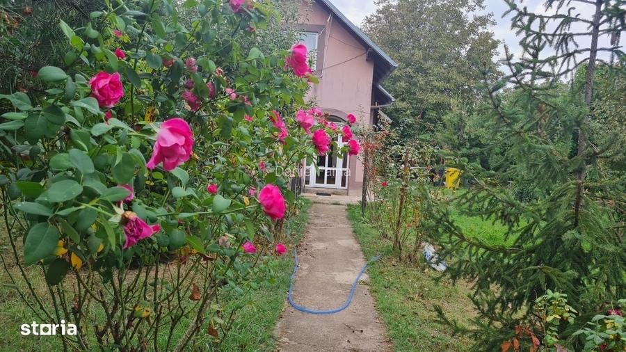 Vila Cu Personalitate Si Gradina Matura De 2.600 Mp | Sector 5