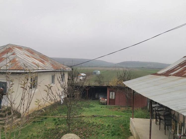 Casă cu 4 camere cu Teren 7000 Mp în Argetoaia
