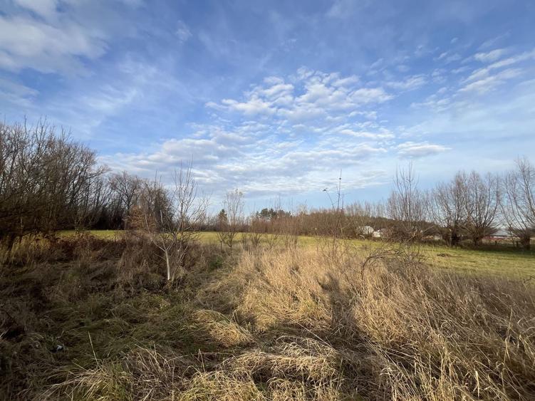 Teren Construcții intravilan de 7244 mp, în Hurjuieni
