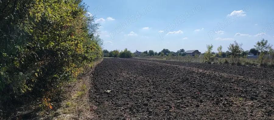 Teren de 3050 mp, în Ordoreanu