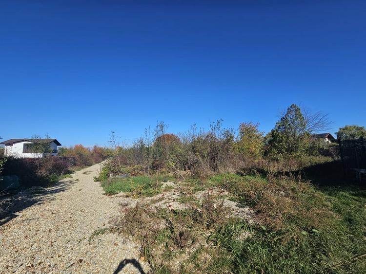 Teren Construcții intravilan de 650 mp, în Vlădiceasca