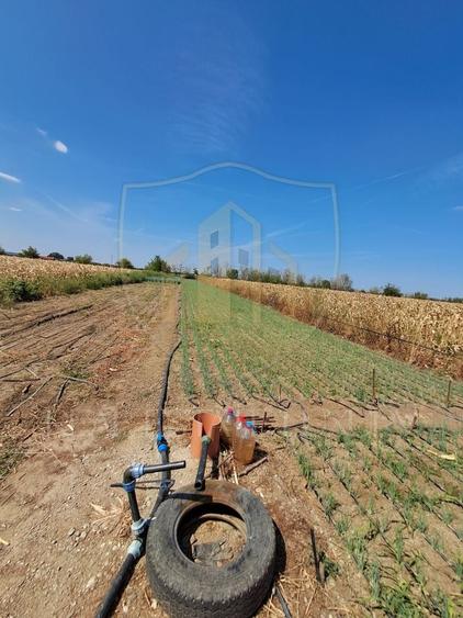 Teren agricol intravilan de 2470 mp, în Copăceni
