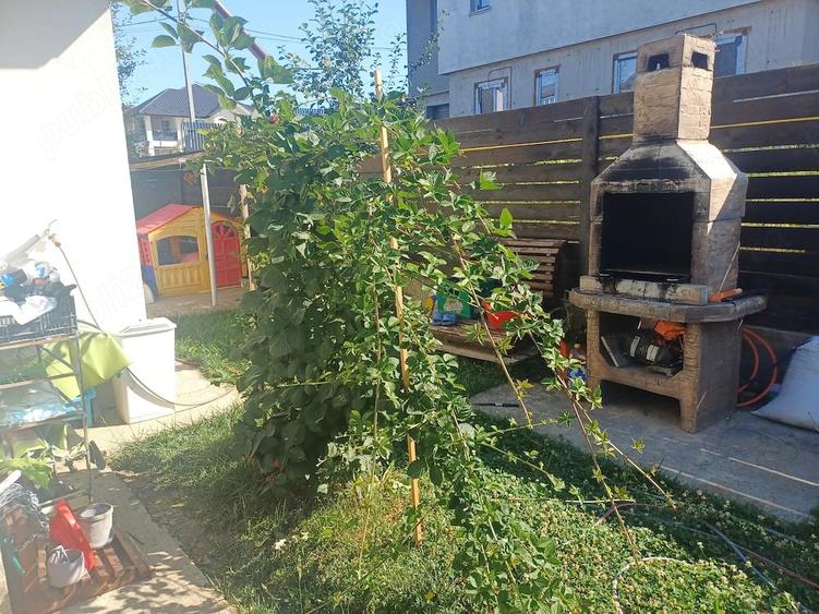 Casă cu 3 camere cu Teren 426 Mp în Bucium
