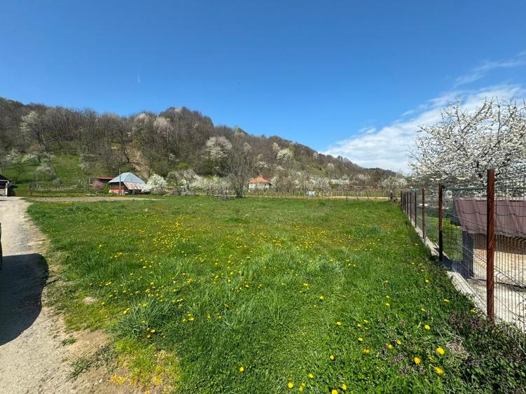 Teren Construcții intravilan de 1420 mp, în Oeștii Ungureni