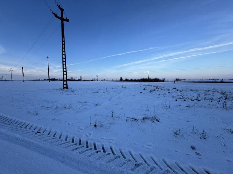 Teren agricol extravilan de 18000 mp, în Becicherecu Mic