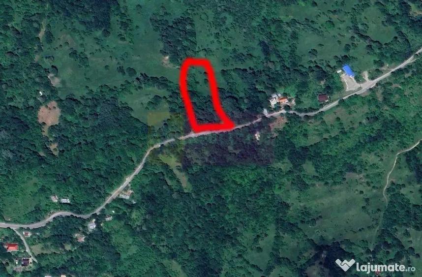 Teren de 3092 mp, în Telega