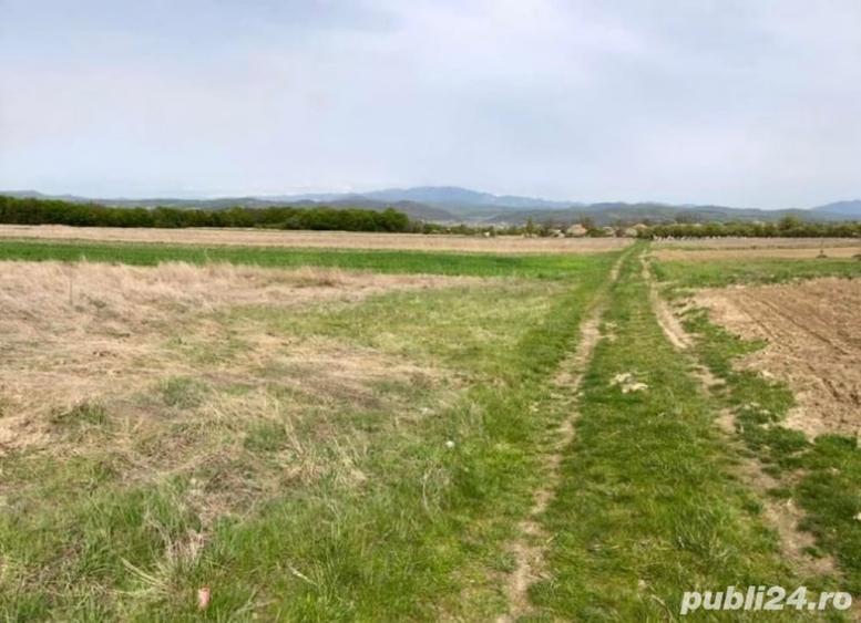 Teren de 3700 mp, în Bârsești (Budești)